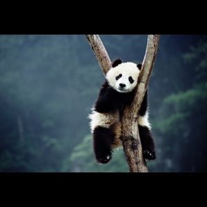 Meet your Posher, Jenevieve